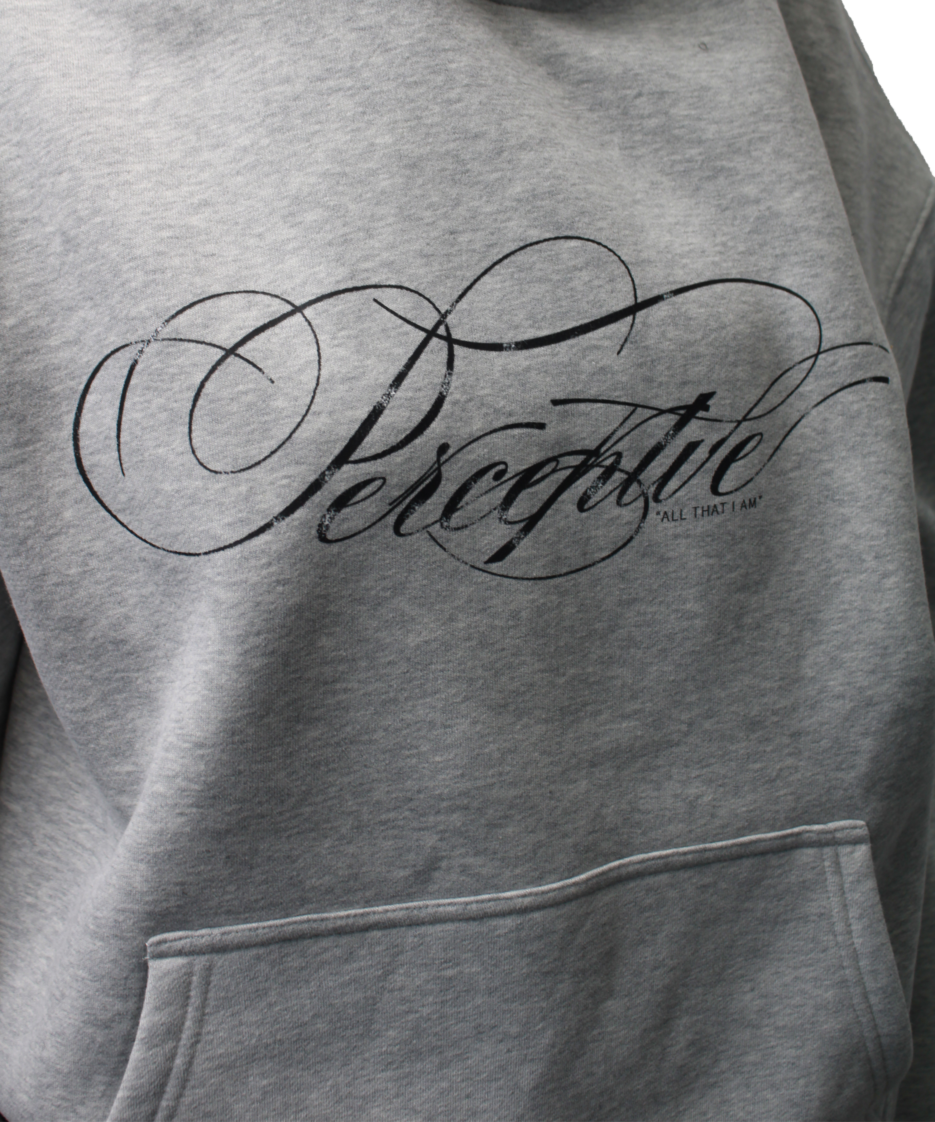 Perceptve Hoodie