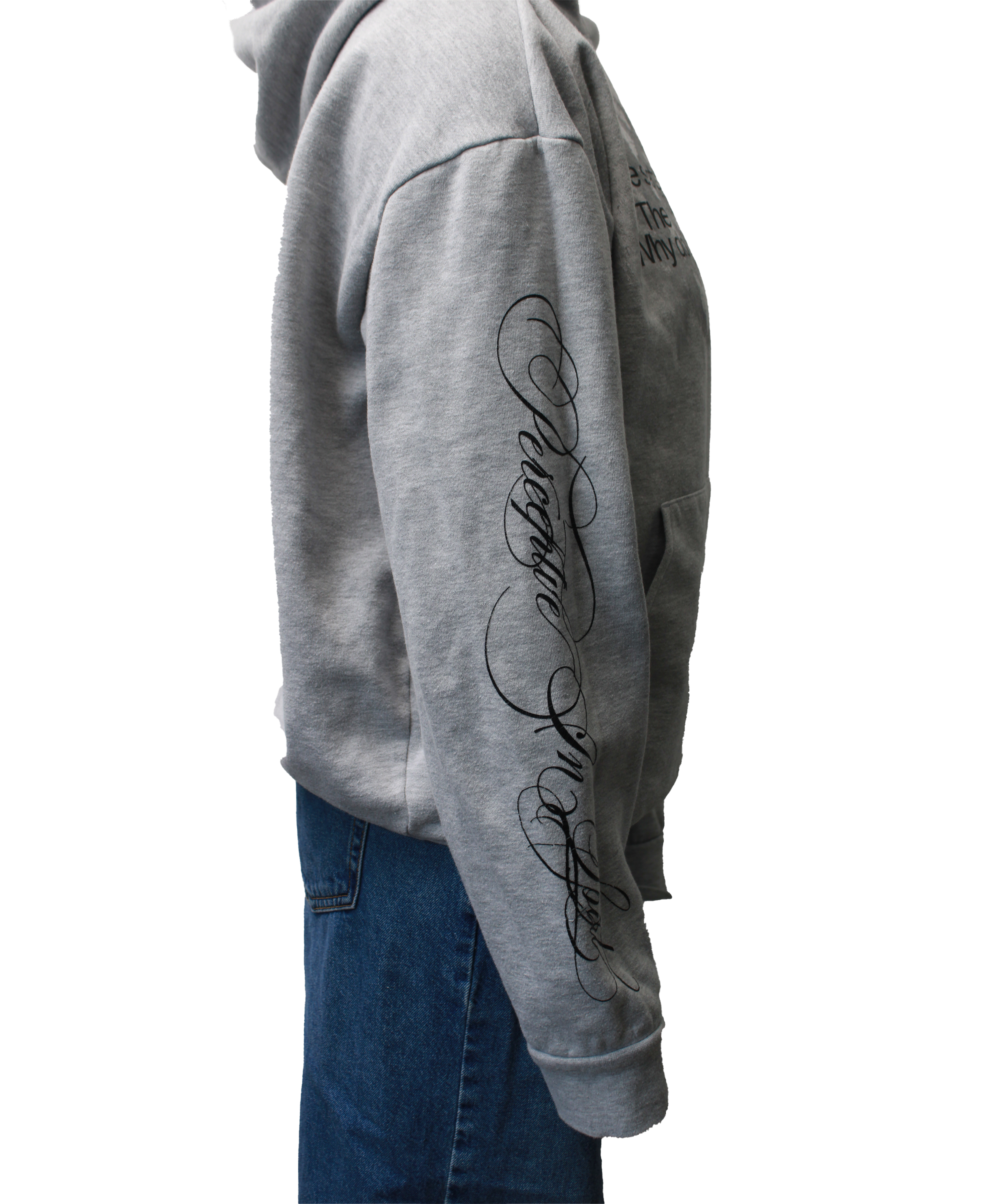 Why are you acting? | Hoodie